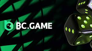 Login BCGame USA A Comprehensive Guide to Accessing Your Account